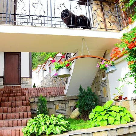 Guest house Belleza 3*