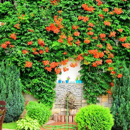 Belleza Guest house 3*